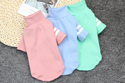 Camiseta Base Primavera para Mascotas - Image 15