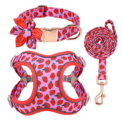 Correa y Collar para Perros Pequeños - Diseño Teddy Corgi - Image 20