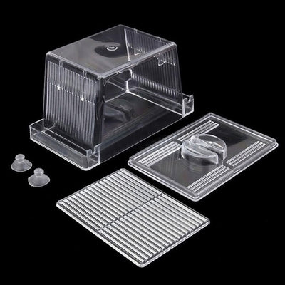 Caja de Incubación Acrílica para Acuario - Image 5