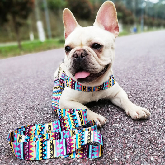 Arnés de Pecho para Perros Pequeños - Diseño Deportivo para Exteriores - Image 14