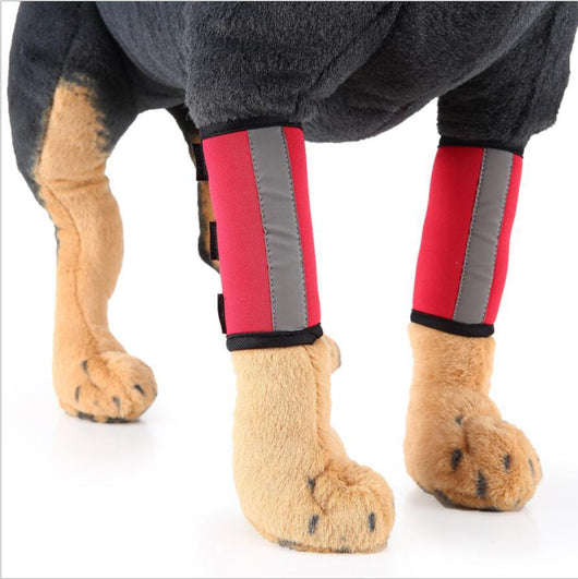 Protector de Pata para Perros - Soporte Ortopédico Ajustable - Image 5