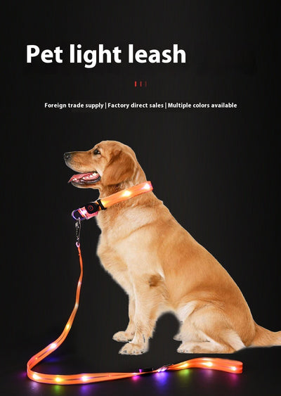 Correa LED Luminosa para Mascotas - Collar con Luz Emisora - Image 14