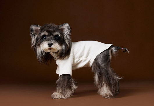 Camisa Interior Teddy Schnauzer - Diseño Elegante con Cuello de Dos Patas - Image 17