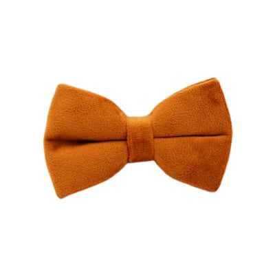 Collar de Perro Terciopelo Suave - Image 16