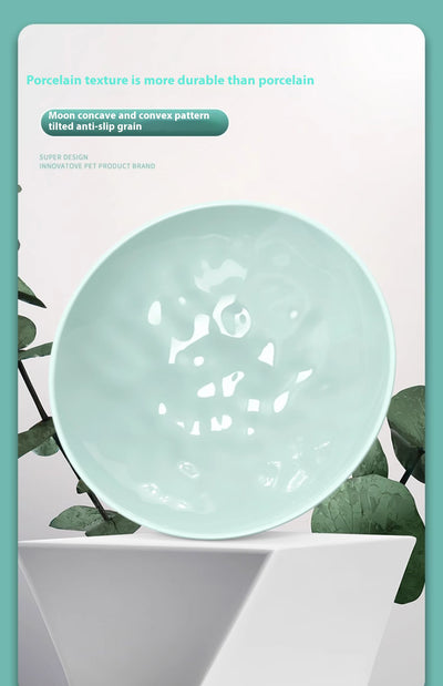 Comedero Ergonómico para Gatos con Soporte Cervical - Image 11