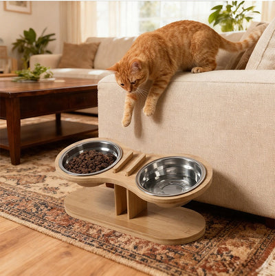 Comedero Inclinado Ajustable para Mascotas - Image 10