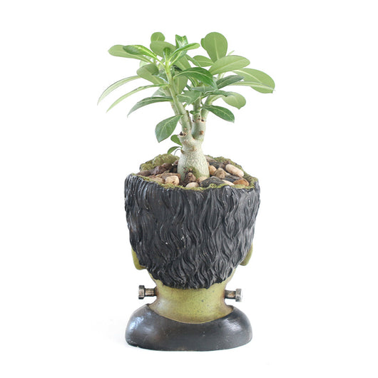Maceta Decorativa Personalizada Frankenstein - Contenedor de Resina para Escritorio - Image 4