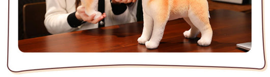 Peluche Perro Akita Realista - Juguete de Simulación Premium - Image 15