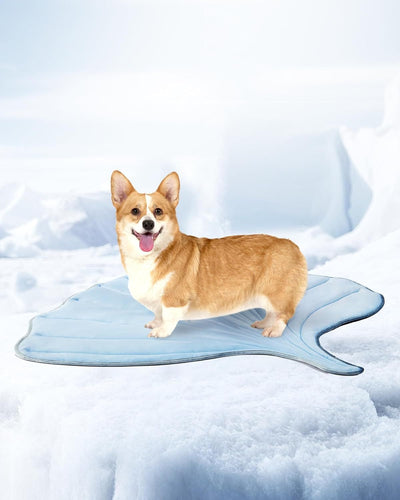 Tapete Refrescante para Gatos Diseño Hoja de Ginkgo - Image 32