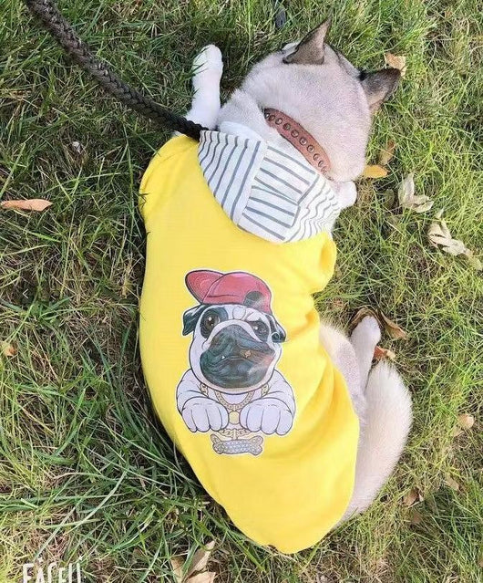 Sudadera Térmica para Perros Medianos y Grandes - Image 20