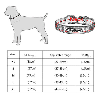 Placa de identificación para perro grabada antiextravío - Image 3