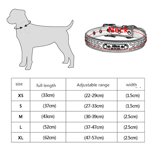 Placa de identificación para perro grabada antiextravío - Image 3