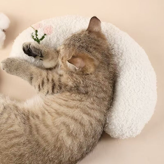 Almohada Ortopédica en U para Mascotas con Soporte Cervical - Image 6