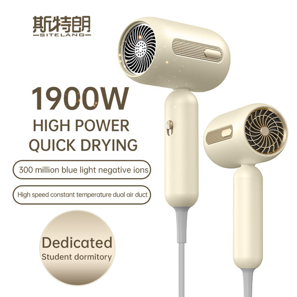 Secador de Cabello Profesional 1900W Turbina de Alta Velocidad Temperatura Constante