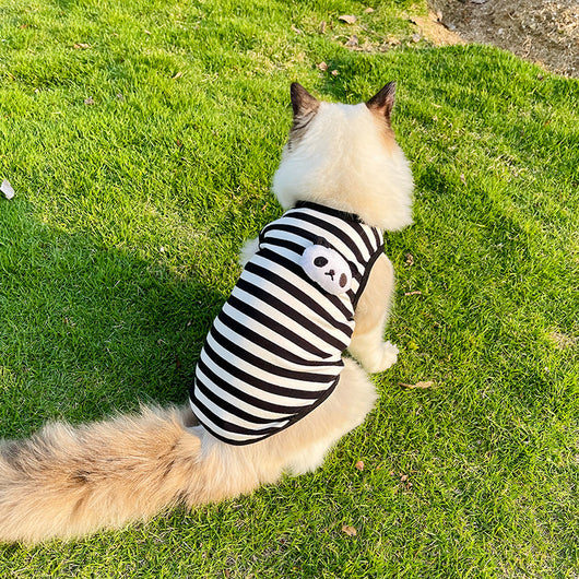 Chaleco Rayado para Perros Pequeños - Ropa Cómoda y Elegante - Image 3