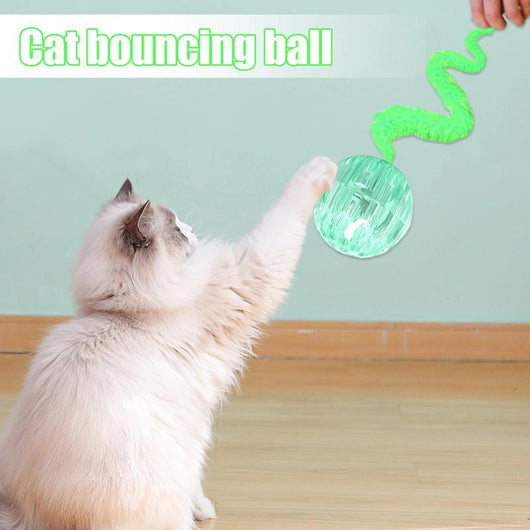 Juguete Interactivo para Gatos - Bolas Saltarinas Estimulantes - Image 10