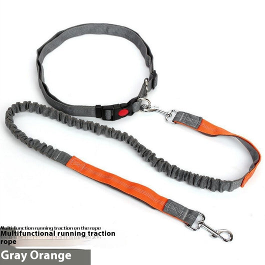 Correa Reflectante para Perros con Elástico - Ideal para Correr de Noche - Image 3