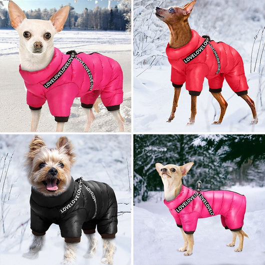 Abrigo Térmico Resistente al Viento para Mascotas - Image 13