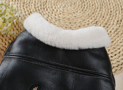 Abrigo Térmico para Mascotas - Colección Otoño Invierno - Image 16