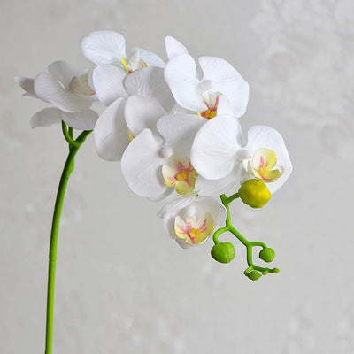 Orquídea Phalaenopsis Artificial de Piso - Flor Decorativa en Seda - Image 5