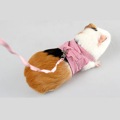 Arnés de Pecho con Cuerda de Tracción para Mascotas Pequeñas - Image 10