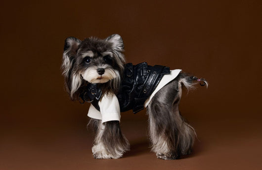 Chaleco de Cuero con Bolsillos de Carga - Diseño Industrial Estampado Mascotas - Image 16