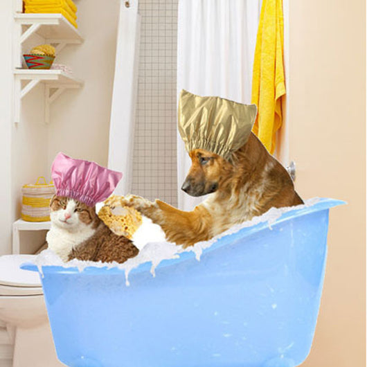 Gorro de Baño Impermeable Ajustable para Perros y Gatos - Image 6