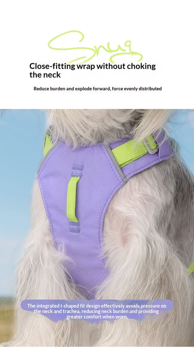 Arnés Multiusos Impermeable de Secado Rápido para Perros - Image 20