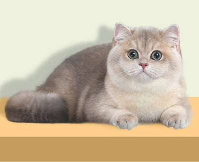 Peine Deslanador para Gatos - Removedor de Nudos y Pelo de Un Click - Image 14