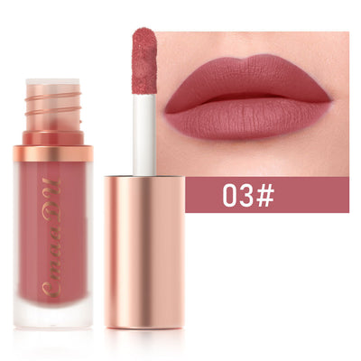 Labial Velvet Mate 12 Colores - Larga Duración Sin Transferencia - Image 6
