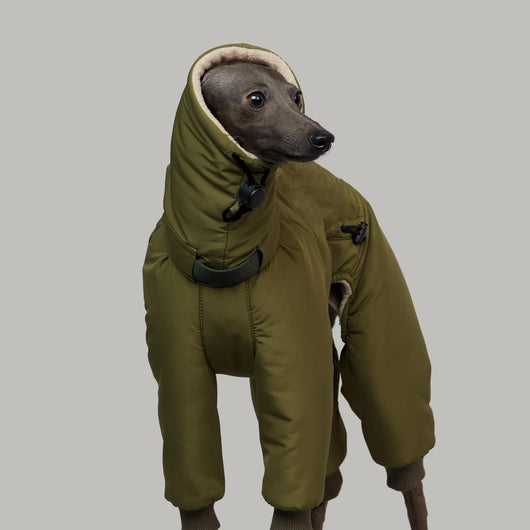 Abrigo Acolchado de Algodón Grueso para Invierno - Cuatro Capas - Image 10