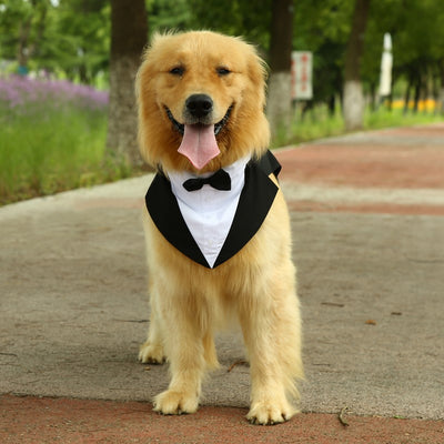 Traje Elegante con Pajarita para Perros - Image 12