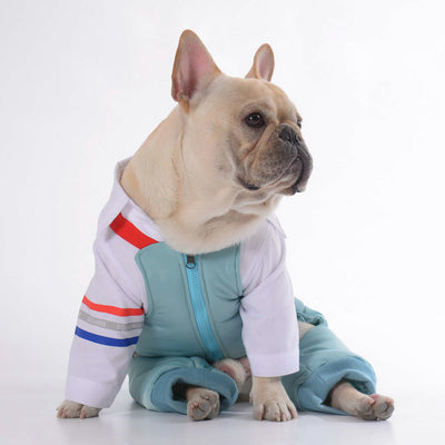 Pantalones de Algodón para Perro Teddy - Diseño Adorable con Correa - Image 6