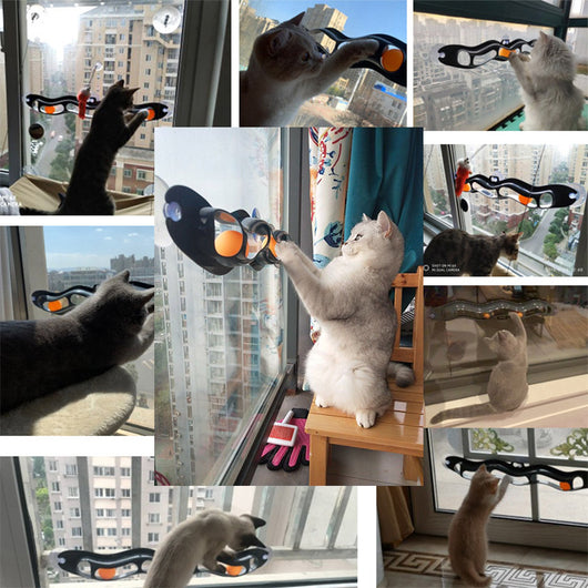 Grey plastic wavy track ball cat toy with two orange balls and suction cups for window or wall mounting. - Image 7