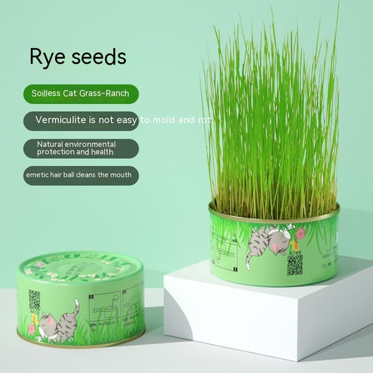Mint green hydroponic cat grass cup with fresh rye and wheat grass, including 3 packs of each seed type. - Image 6
