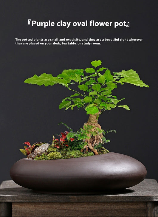Maceta Retro Morada con Diseño de Arena y Plantas Verdes - Image 9