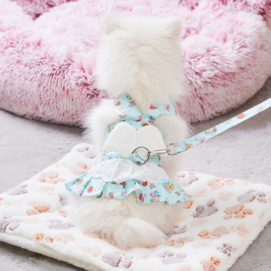 Vestido Arnés para Perro con Alas de Ángel y Correa - Outfit Fashion para Mascotas Pequeñas