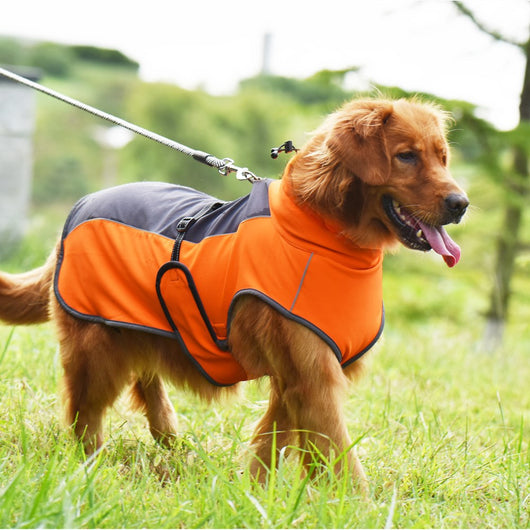 Abrigo Reflectante para Perros - Protección Térmica Otoño e Invierno