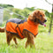 Abrigo Reflectante para Perros - Protección Térmica Otoño e Invierno