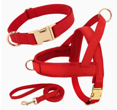 Arnés y Correa Personalizados para Perro - Image 10