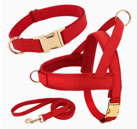 Arnés y Correa Personalizados para Perro - Image 10