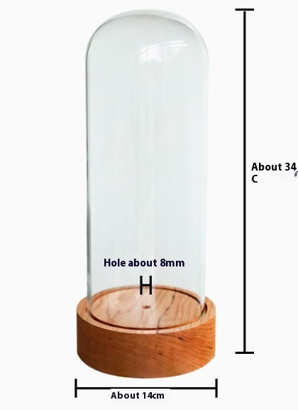 Maceta de Cristal para Suculentas - Diseño Artesanal Elegante - Image 14