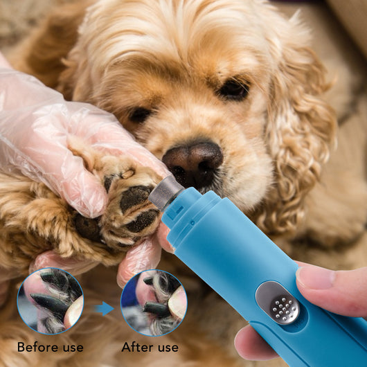 Limador Eléctrico de Uñas para Mascotas - Cortaúñas Profesional - Image 8