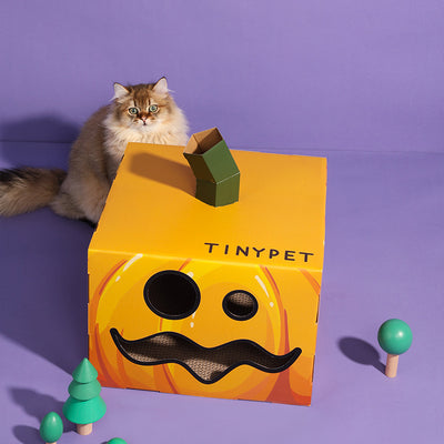 Juguetes Corrugados para Gatos Temática Halloween - Image 7