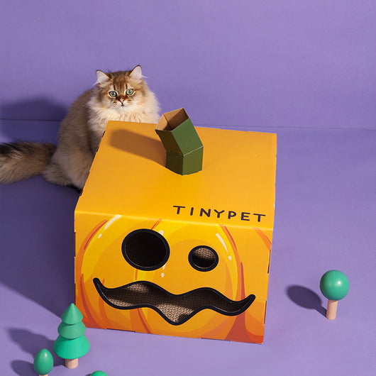 Juguetes Corrugados para Gatos Temática Halloween - Image 7