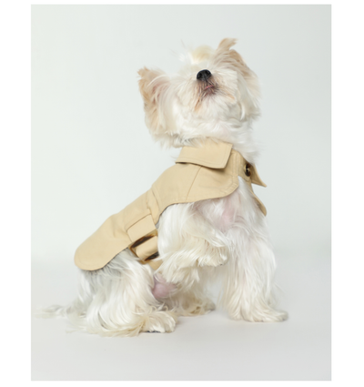 Abrigo Impermeable Británico para Perros - Ropa de Verano - Image 13