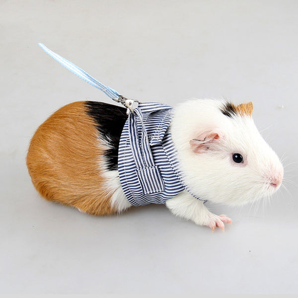 Arnés de Pecho con Cuerda de Tracción para Mascotas Pequeñas