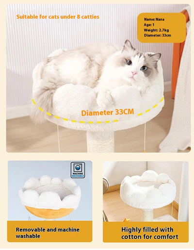 Árbol Rascador Compacto Integrado para Gatos - Image 9