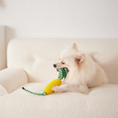Juguete Masticable Dental para Cachorros - Limpieza de Dientes e Interactivo - Image 8