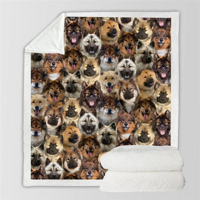 Manta Franela Estampada para Perros - Image 66
